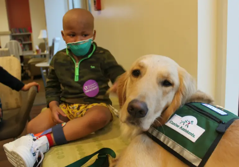 Canine Assistants Service Dog Laying With Sick Child At Children's Hospital